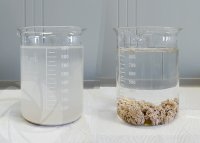 Flocculation test of resorcinol glue cleaning water