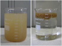  Chemical treatment of wastewater containing chocolate, oil and grease.