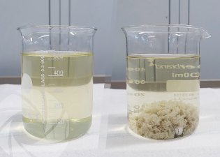Cutting oil water flocculation test